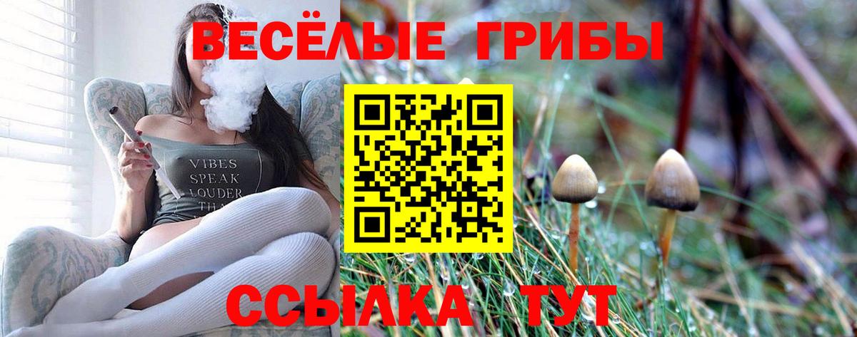 Галлюциногенные грибы MAGIC MUSHROOMS  Вход с VPN  Ликино-Дулёво 