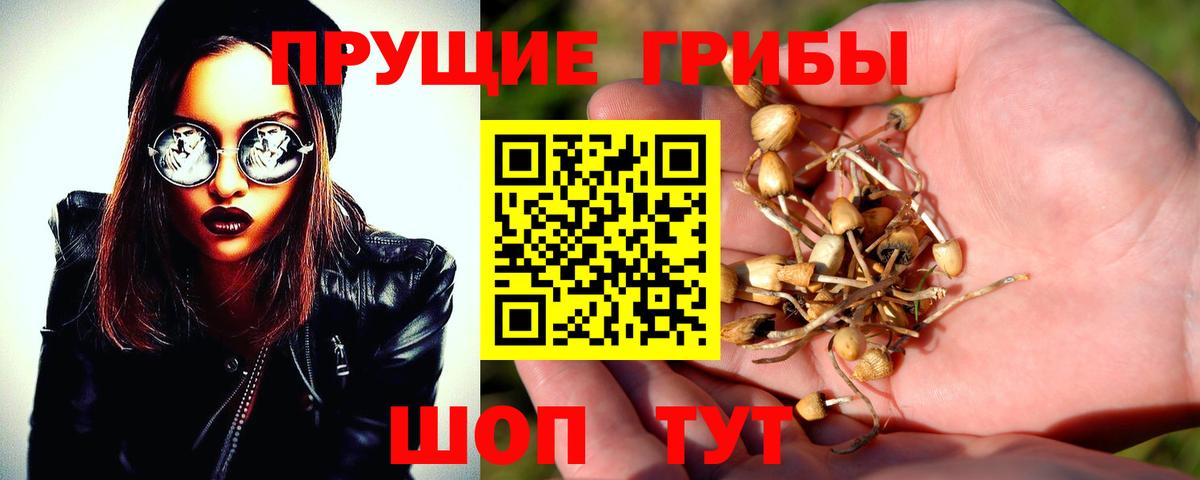Псилоцибиновые грибы Magic Shrooms Ликино-Дулёво